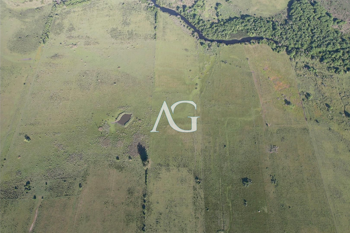 Chacra ID.296 - CAMPO EN VENTA EN SAN CARLOS