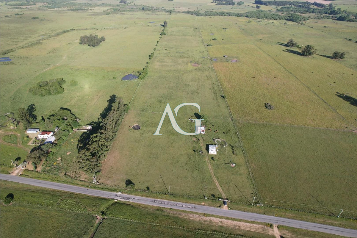 Chacra ID.296 - CAMPO EN VENTA EN SAN CARLOS