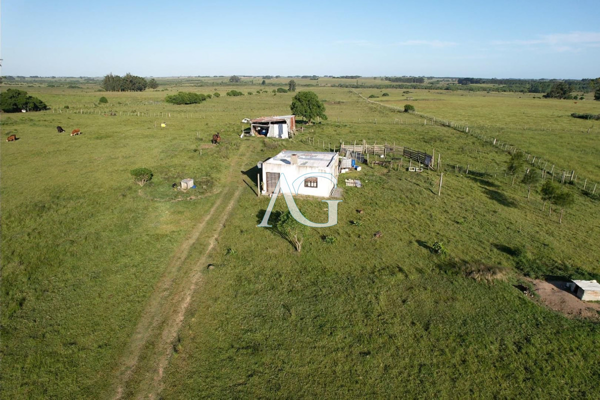 Chacra ID.296 - CAMPO EN VENTA EN SAN CARLOS