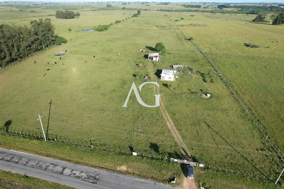 Chacra ID.296 - CAMPO EN VENTA EN SAN CARLOS