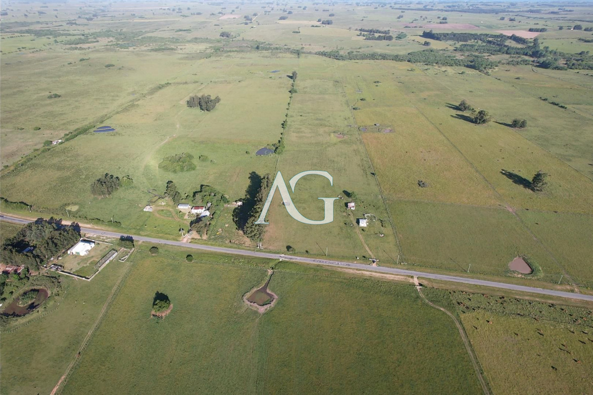 Chacra ID.296 - CAMPO EN VENTA EN SAN CARLOS