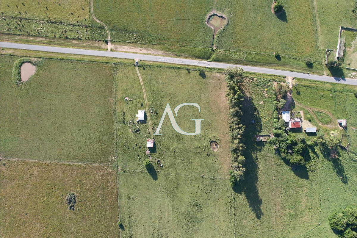 Chacra ID.296 - CAMPO EN VENTA EN SAN CARLOS