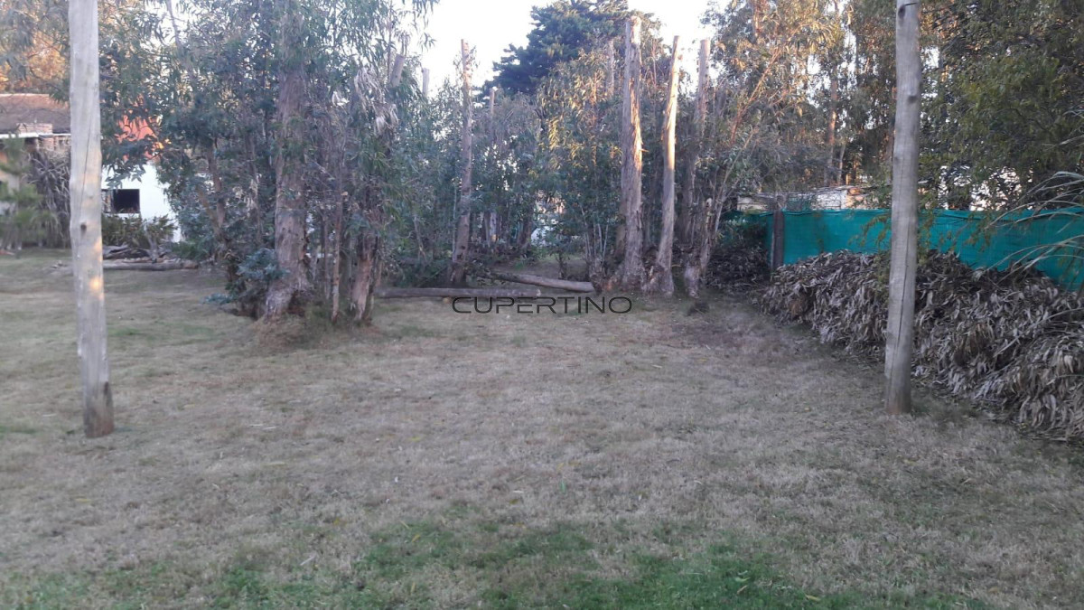 Casa en Minas, San Francisco de la Sierra — foto 7