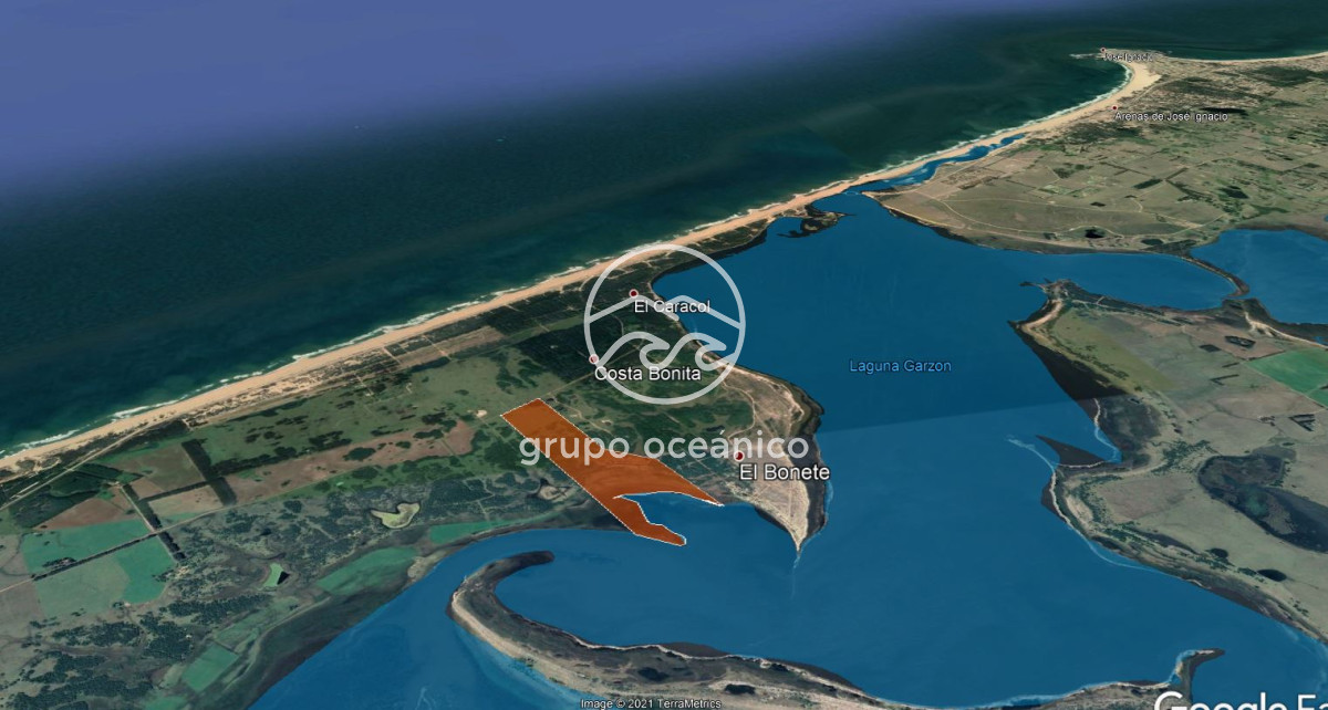 Campo Ref.17 - Venta de campo Estrella de Mar en Rocha