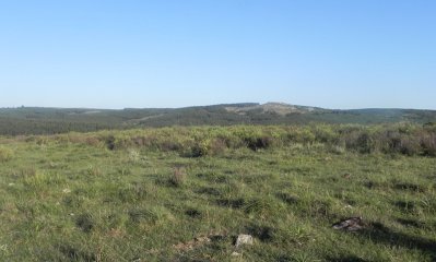 Oportunidad, campo a 15 km de Rocha, 33 hectáreas agrícola, ganadero - Ref : EQP4146