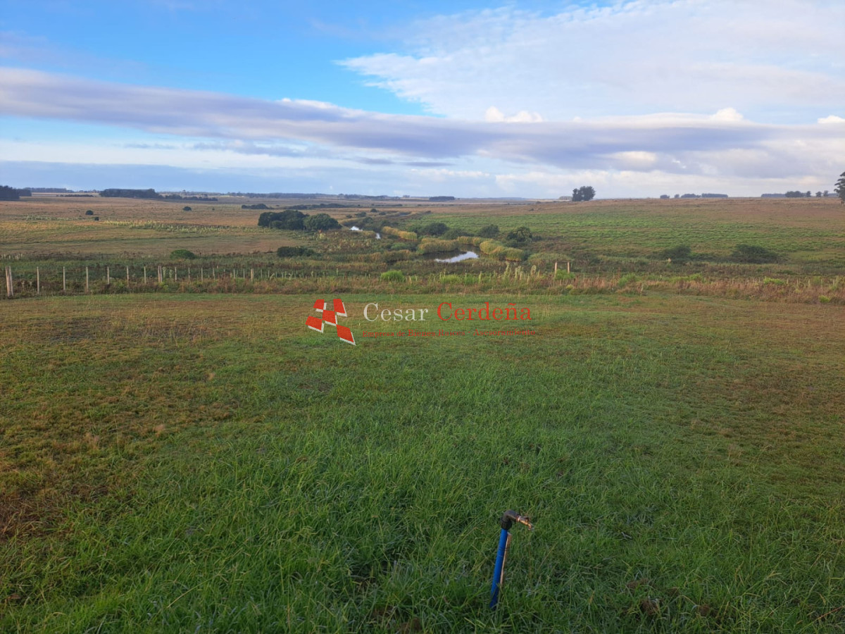 Chacra ID.2001 - VENTA - Campo Agricola-Ganadero Garzón