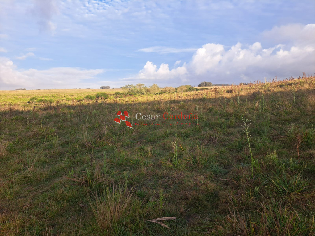 Chacra ID.2001 - VENTA - Campo Agricola-Ganadero Garzón