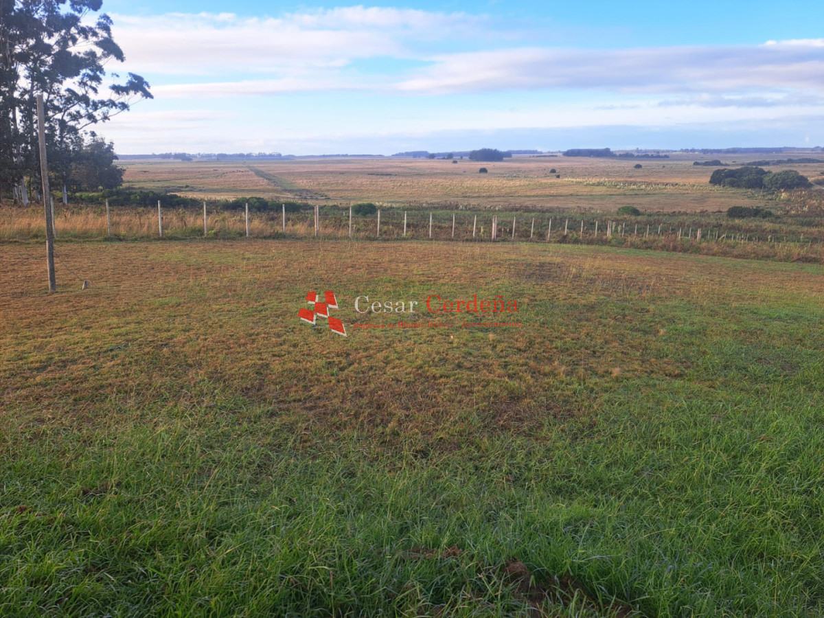 Chacra ID.2001 - VENTA - Campo Agricola-Ganadero Garzón
