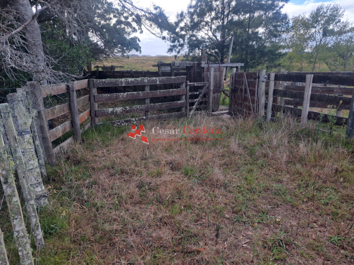 Chacra ID.2001 - VENTA - Campo Agricola-Ganadero Garzón