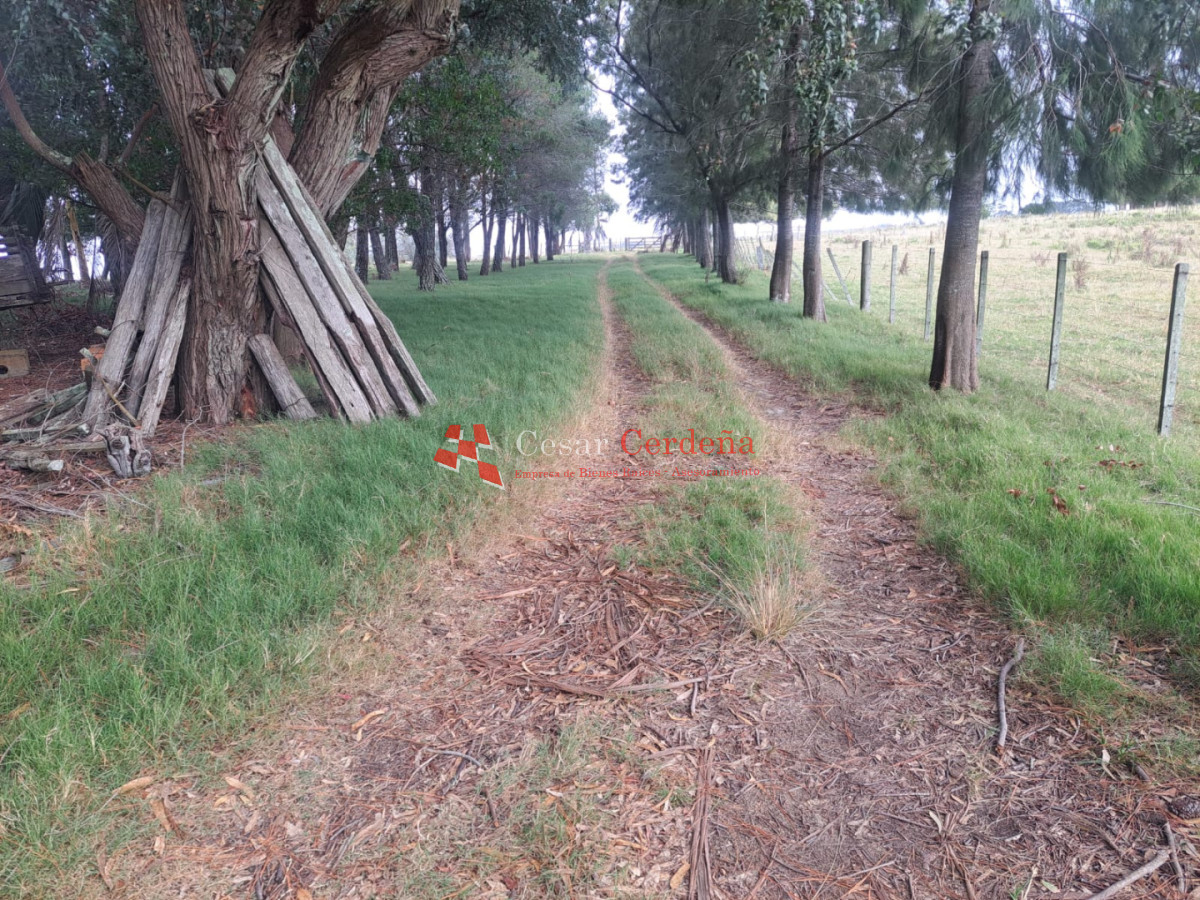 Chacra ID.2001 - VENTA - Campo Agricola-Ganadero Garzón