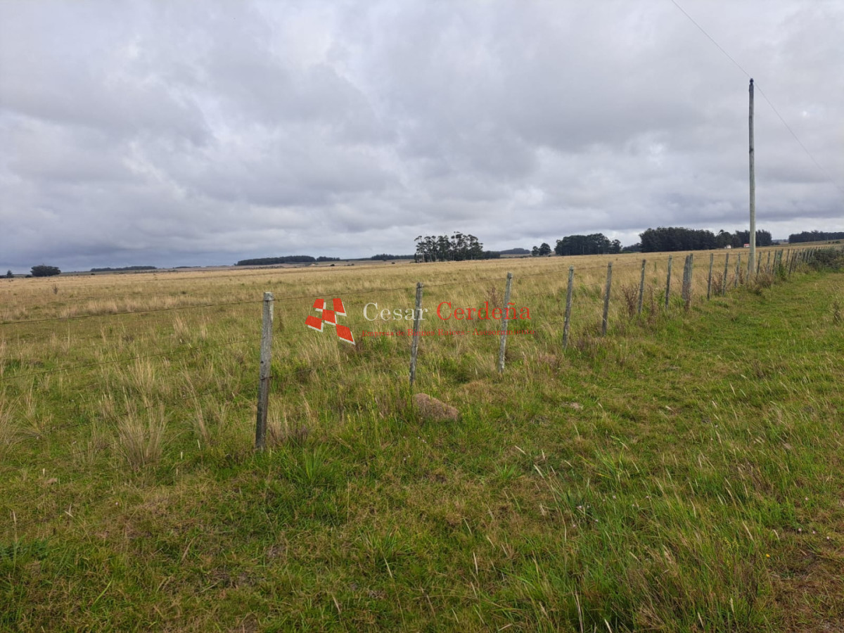 Chacra ID.2001 - VENTA - Campo Agricola-Ganadero Garzón