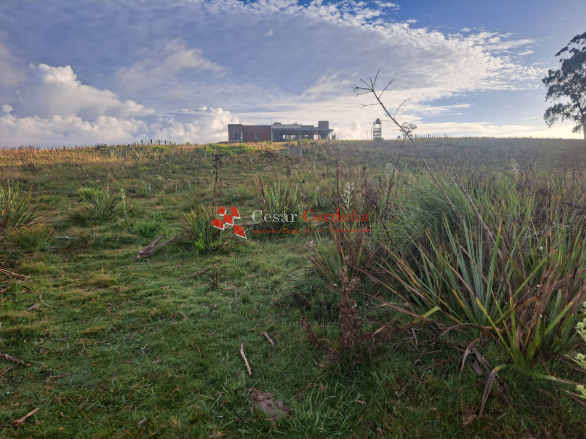 Chacra ID.2001 - VENTA - Campo Agricola-Ganadero Garzón