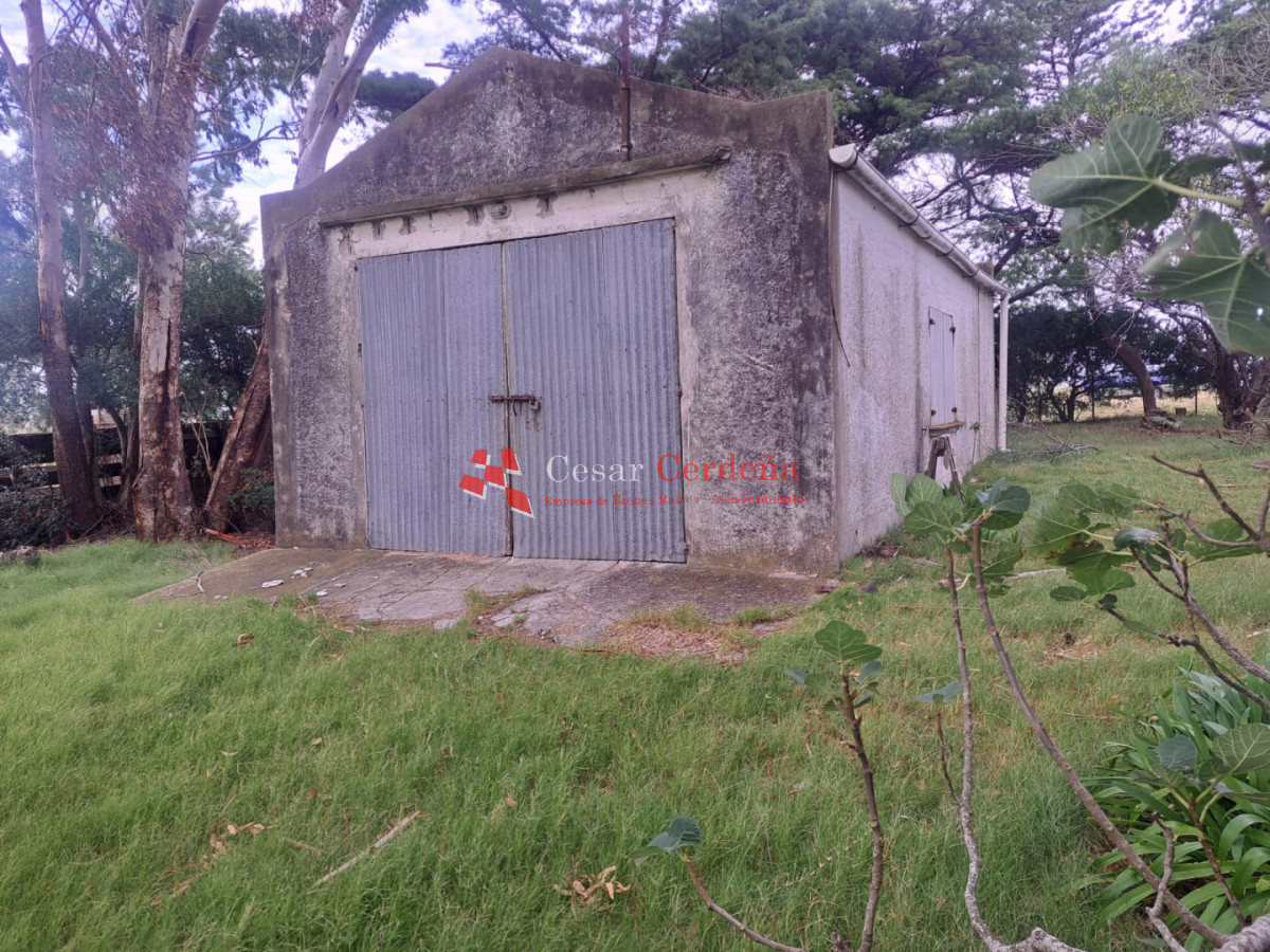 Chacra ID.2001 - VENTA - Campo Agricola-Ganadero Garzón