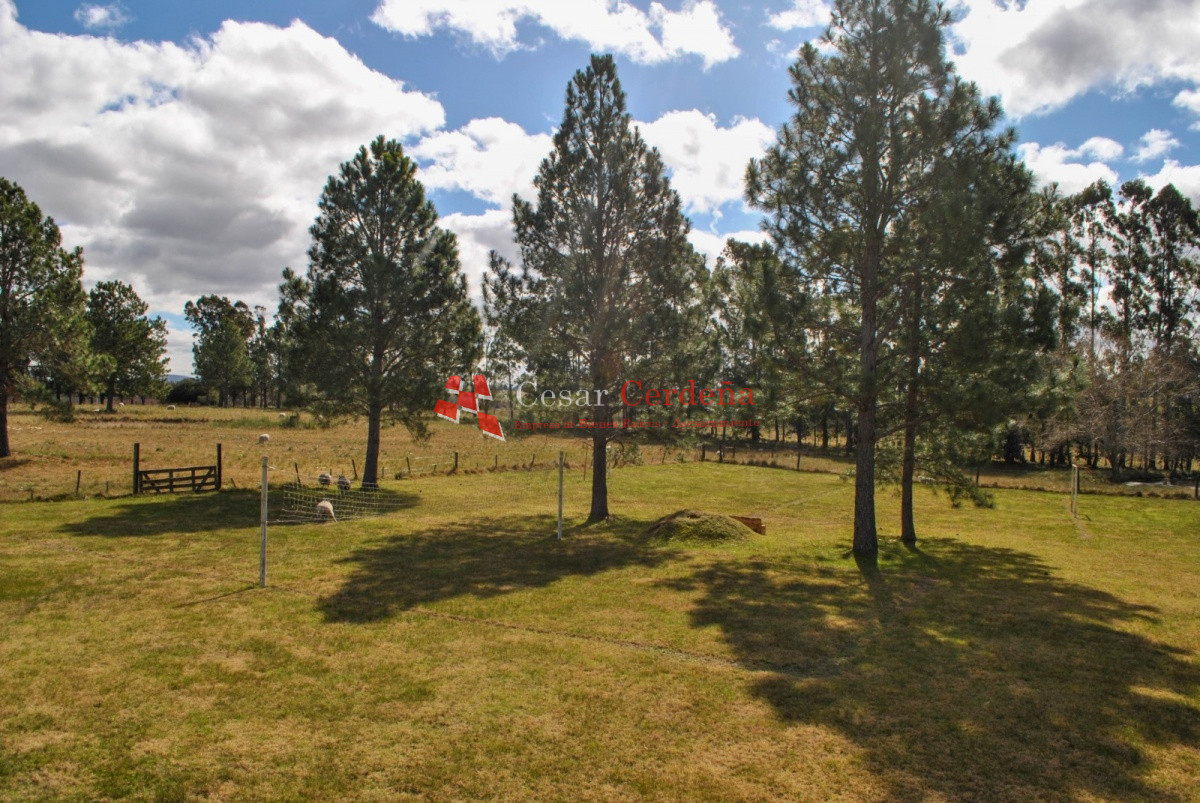 Chacra ID.1977 - VENTA - Espectacular chacra con un entorno único 