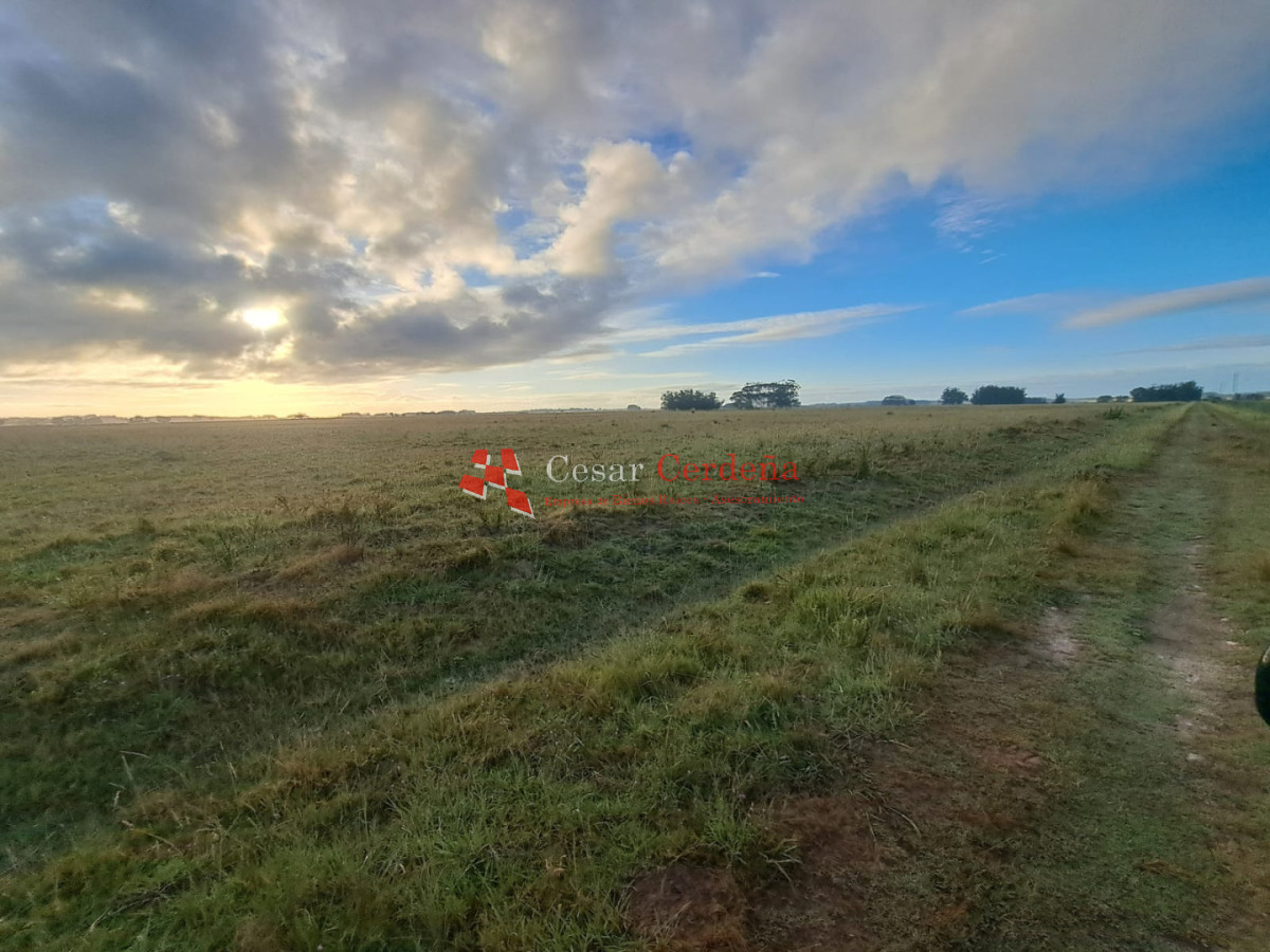 Chacra ID.2001 - VENTA - Campo Agricola-Ganadero Garzón
