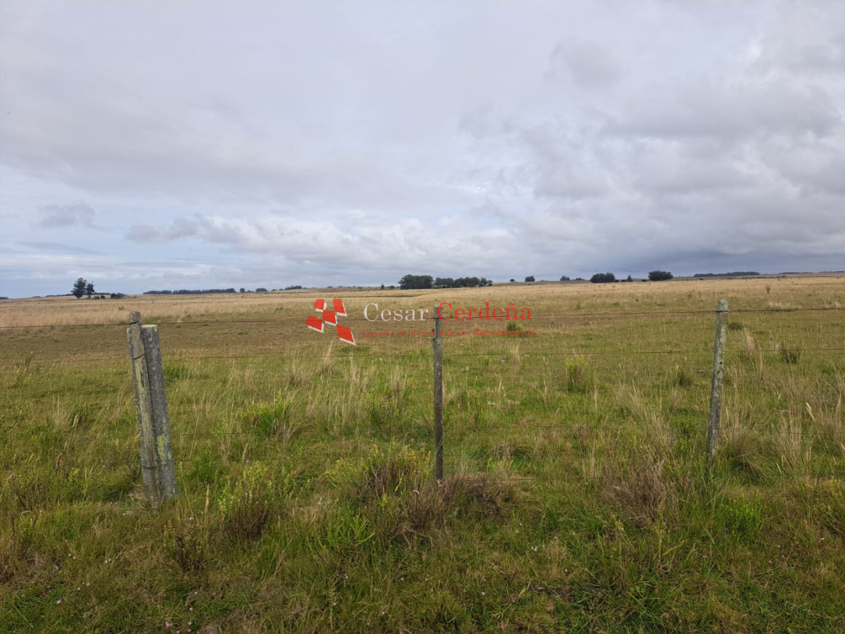 Chacra ID.2001 - VENTA - Campo Agricola-Ganadero Garzón