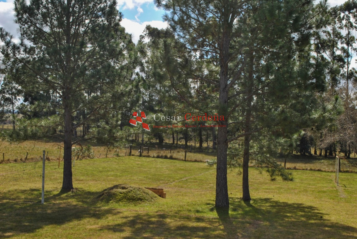 Chacra ID.1977 - VENTA - Espectacular chacra con un entorno único 