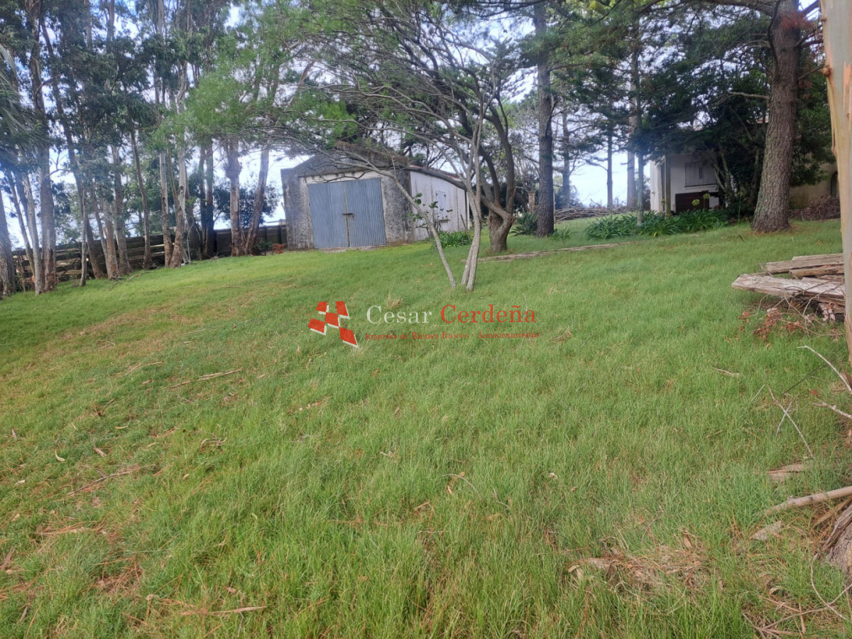 Chacra ID.2001 - VENTA - Campo Agricola-Ganadero Garzón
