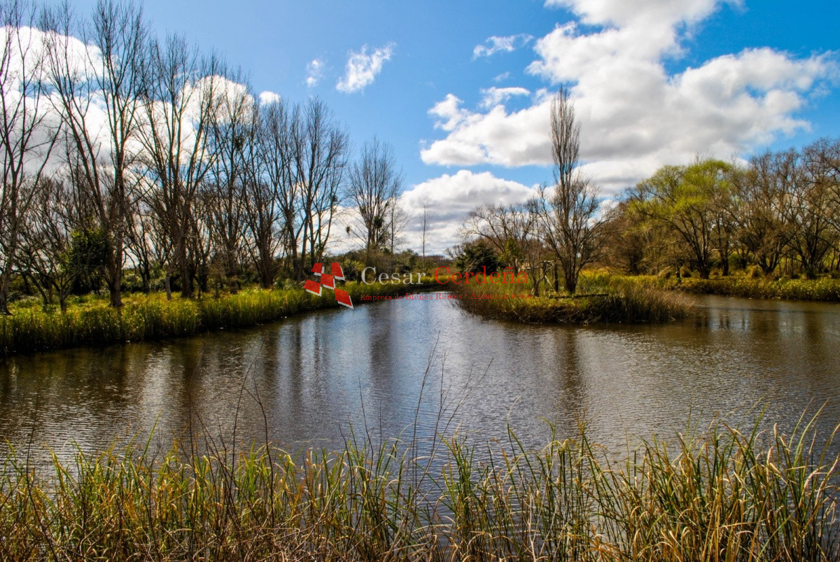 Chacra ID.1977 - VENTA - Espectacular chacra con un entorno único 