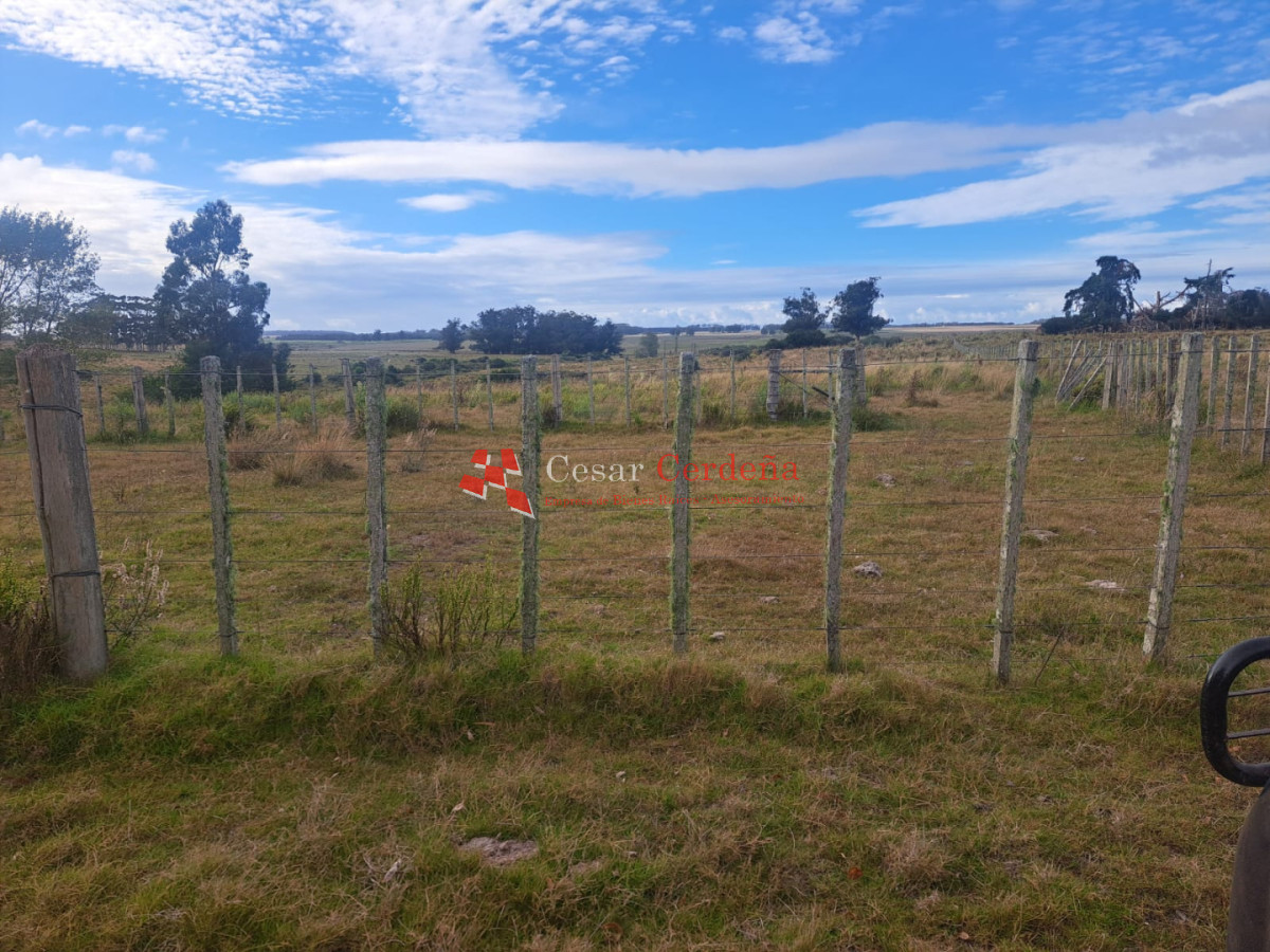 Chacra ID.2001 - VENTA - Campo Agricola-Ganadero Garzón