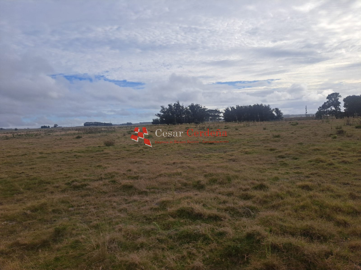 Chacra ID.2001 - VENTA - Campo Agricola-Ganadero Garzón