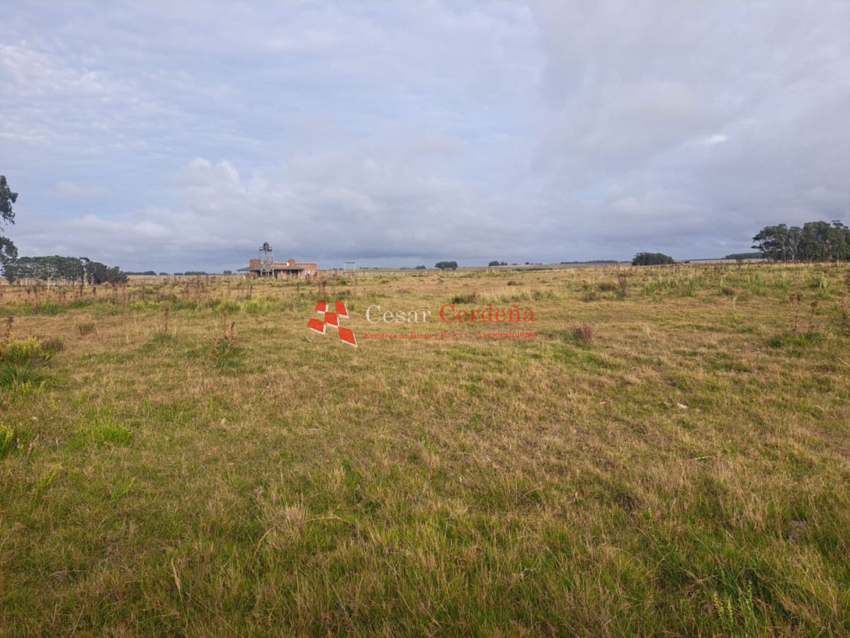 Chacra ID.2001 - VENTA - Campo Agricola-Ganadero Garzón