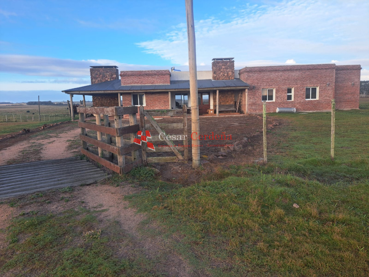 Chacra ID.2001 - VENTA - Campo Agricola-Ganadero Garzón
