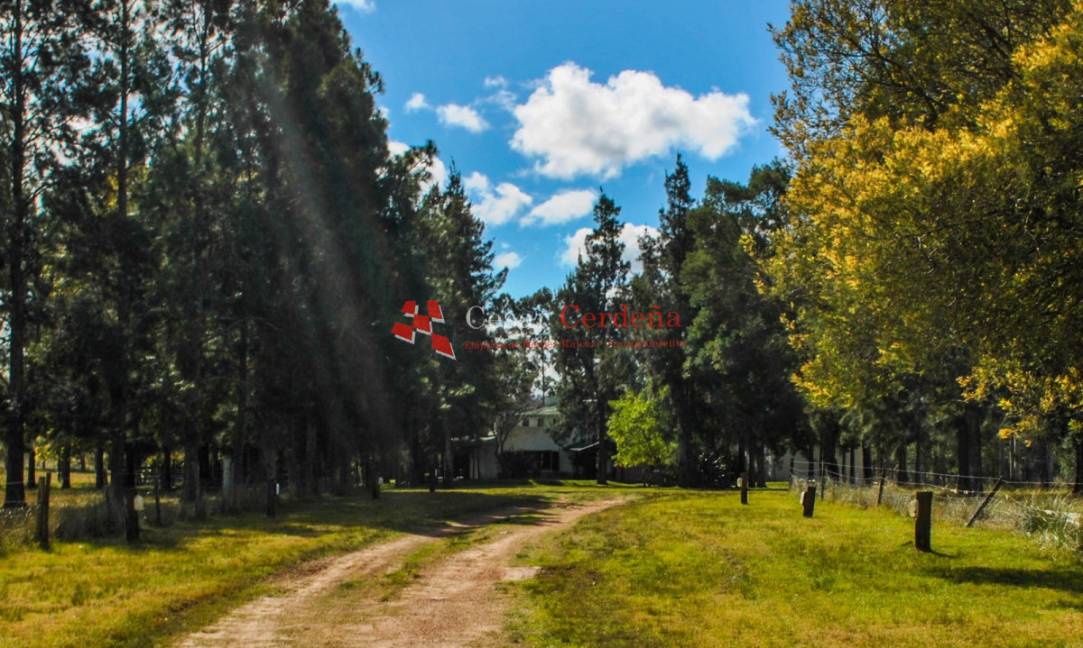 Chacra ID.1977 - VENTA - Espectacular chacra con un entorno único 