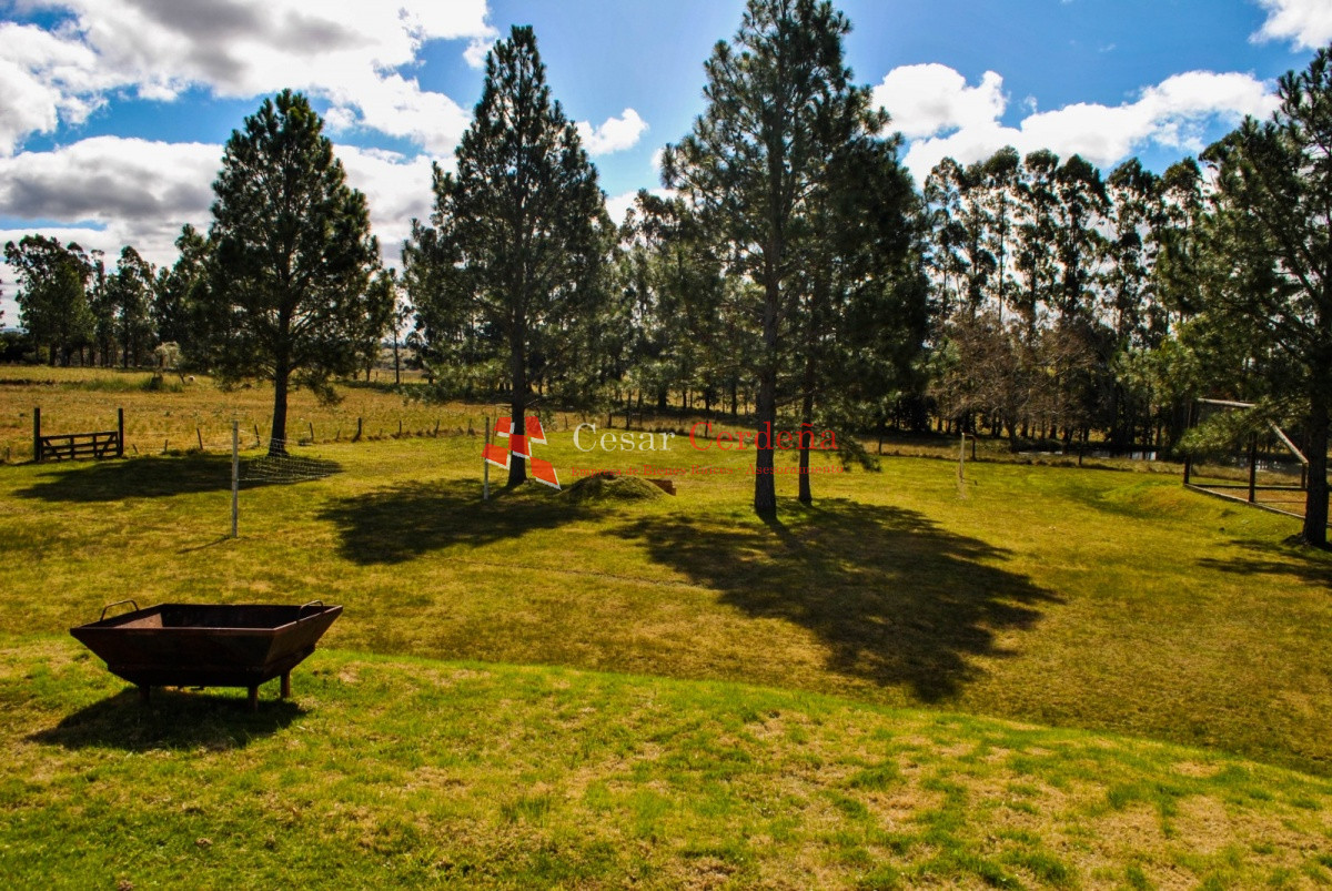 Chacra ID.1977 - VENTA - Espectacular chacra con un entorno único 