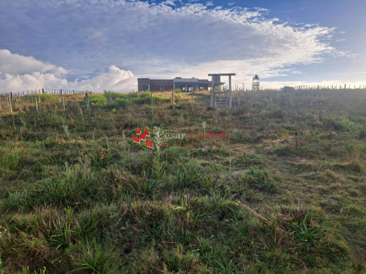 Chacra ID.2001 - VENTA - Campo Agricola-Ganadero Garzón