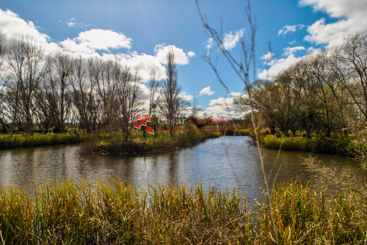 Chacra ID.1977 - VENTA - Espectacular chacra con un entorno único 