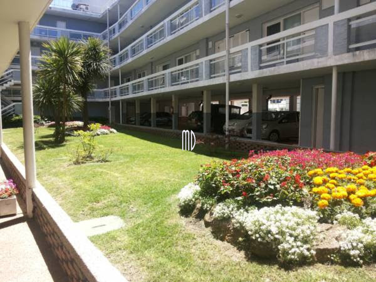 Aidy Grill - GoPunta - Portal Inmobiliario de Punta del Este - Maldonado