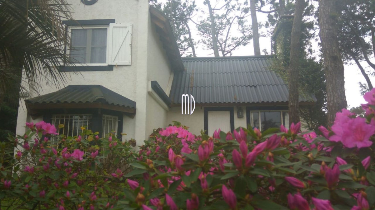 Aidy Grill - GoPunta - Portal Inmobiliario de Punta del Este - Maldonado