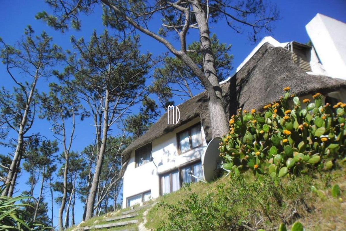 Punta Ballena - GoPunta - Portal Inmobiliario de Punta del Este - Maldonado