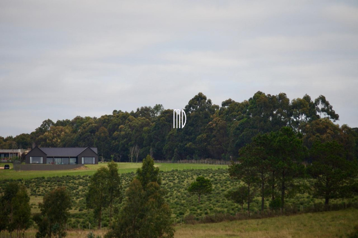 Pueblo Mio - GoPunta - Portal Inmobiliario de Punta del Este - Maldonado
