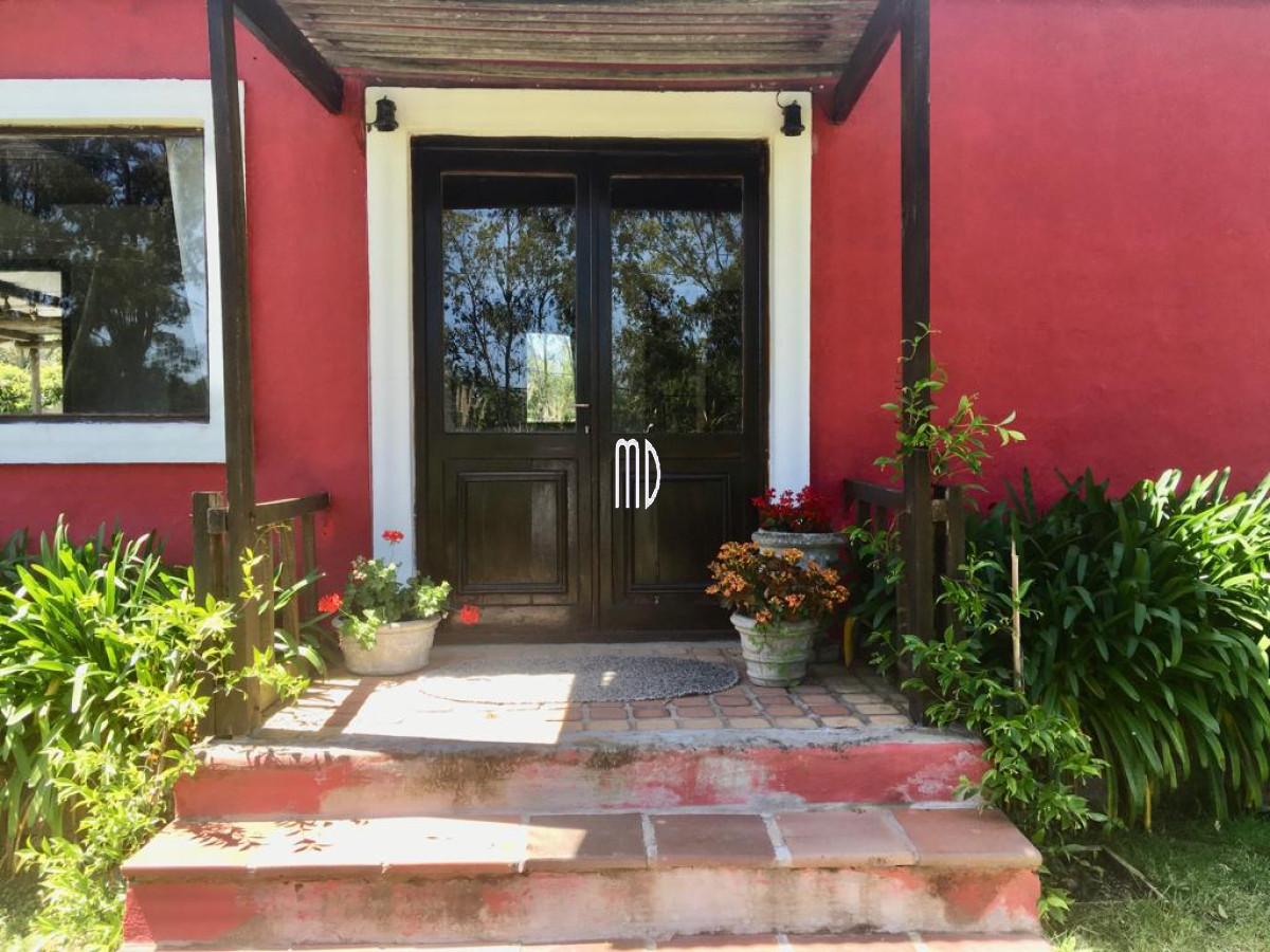 Tio Tom - GoPunta - Portal Inmobiliario de Punta del Este - Maldonado