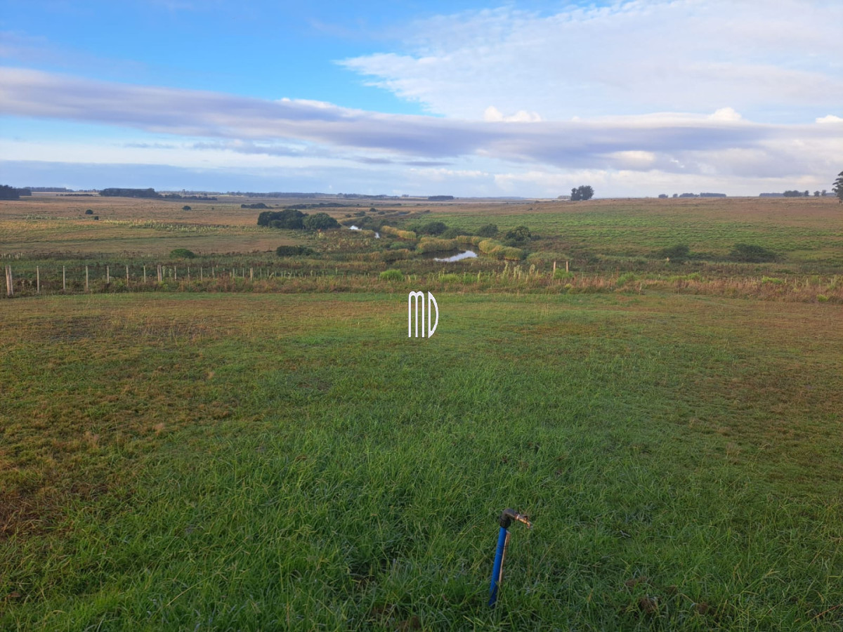 Chacra ID.9093 - 