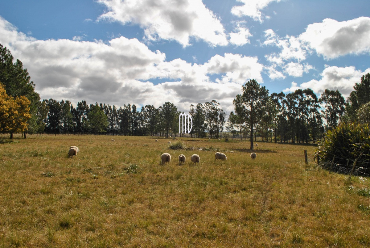 Chacra ID.6555 - Ocho exclusiva y excepcionales chacras. REF: 6555