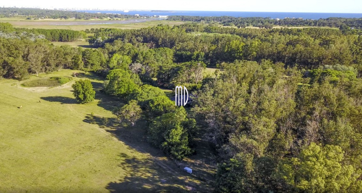 Muy linda chacra en Punta Ballena. REF(9300)  - IMD9300H