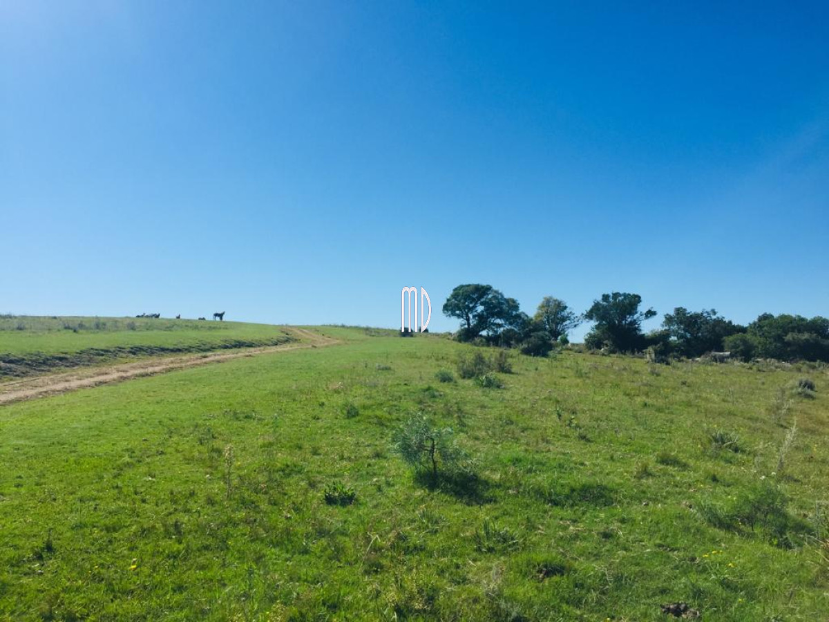 Chacra ID.6457 - Espectacular estancia turística en Pueblo Edén 