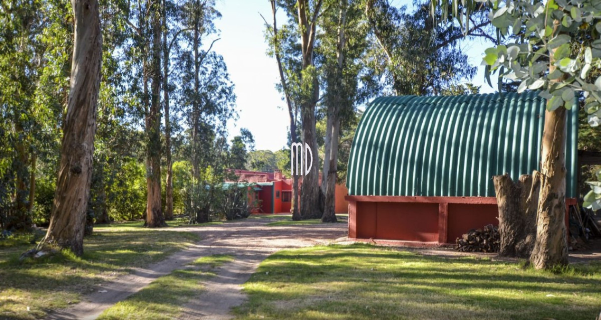 Chacra ID.9300 - Muy linda chacra en Punta Ballena. REF(9300) 