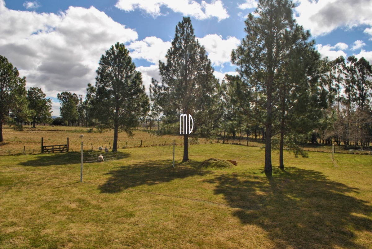Chacra ID.6555 - Ocho exclusiva y excepcionales chacras. REF: 6555