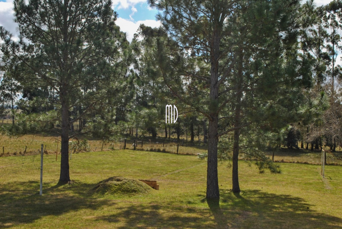 Chacra ID.6555 - Ocho exclusiva y excepcionales chacras. REF: 6555