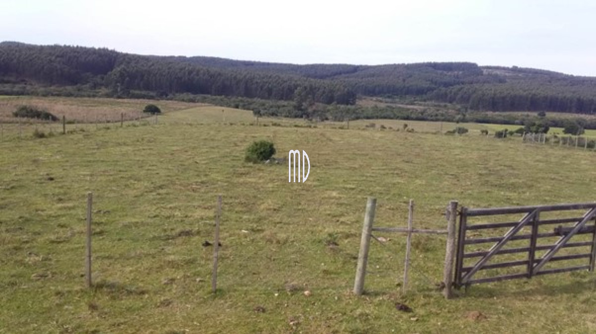 Campo Ref.6936 - Oportunidad campo a 15 kmts de Rocha