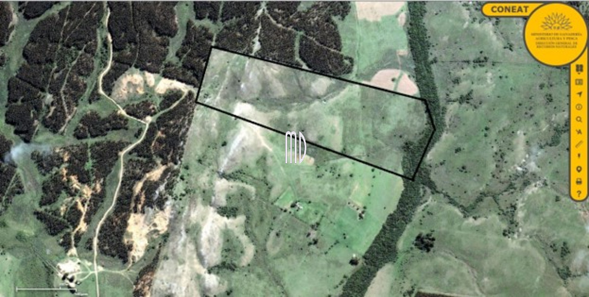 Campo Ref.6936 - Oportunidad campo a 15 kmts de Rocha