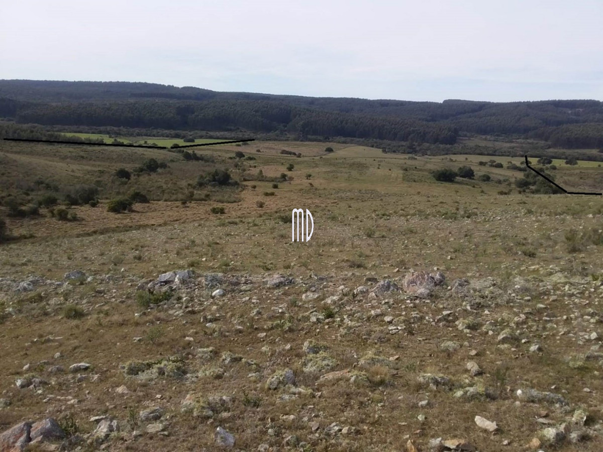 Campo Ref.6936 - Oportunidad campo a 15 kmts de Rocha
