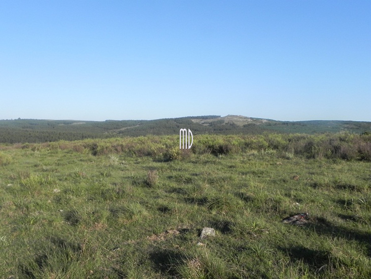 Campo Ref.6936 - Oportunidad campo a 15 kmts de Rocha