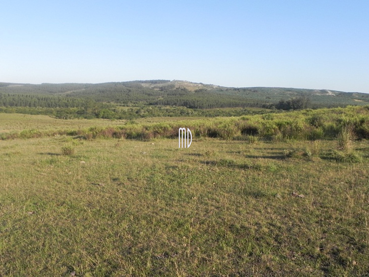 Campo Ref.6936 - Oportunidad campo a 15 kmts de Rocha