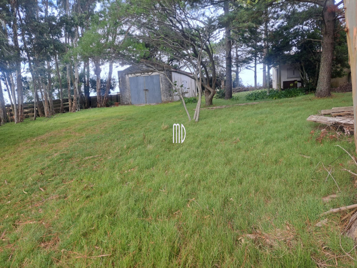Campo Ref.9371 - Campo en , 