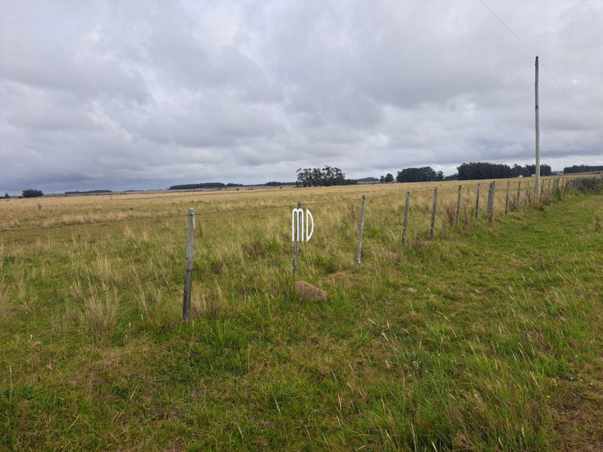Campo Ref.9371 - Campo en , 